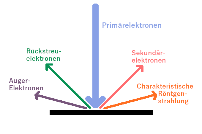 Elektronenstrahl Wechselwirkungen im REM Mikroskop