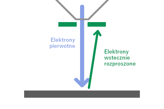 Elektrony wstecznie rozproszone w skaningowym mikroskopie elektronowym