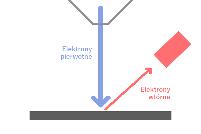 Elektrony wtórne w skaningowym mikroskopie elektronowym
