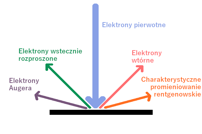 Interakcje wiązki elektronów w mikroskopie SEM